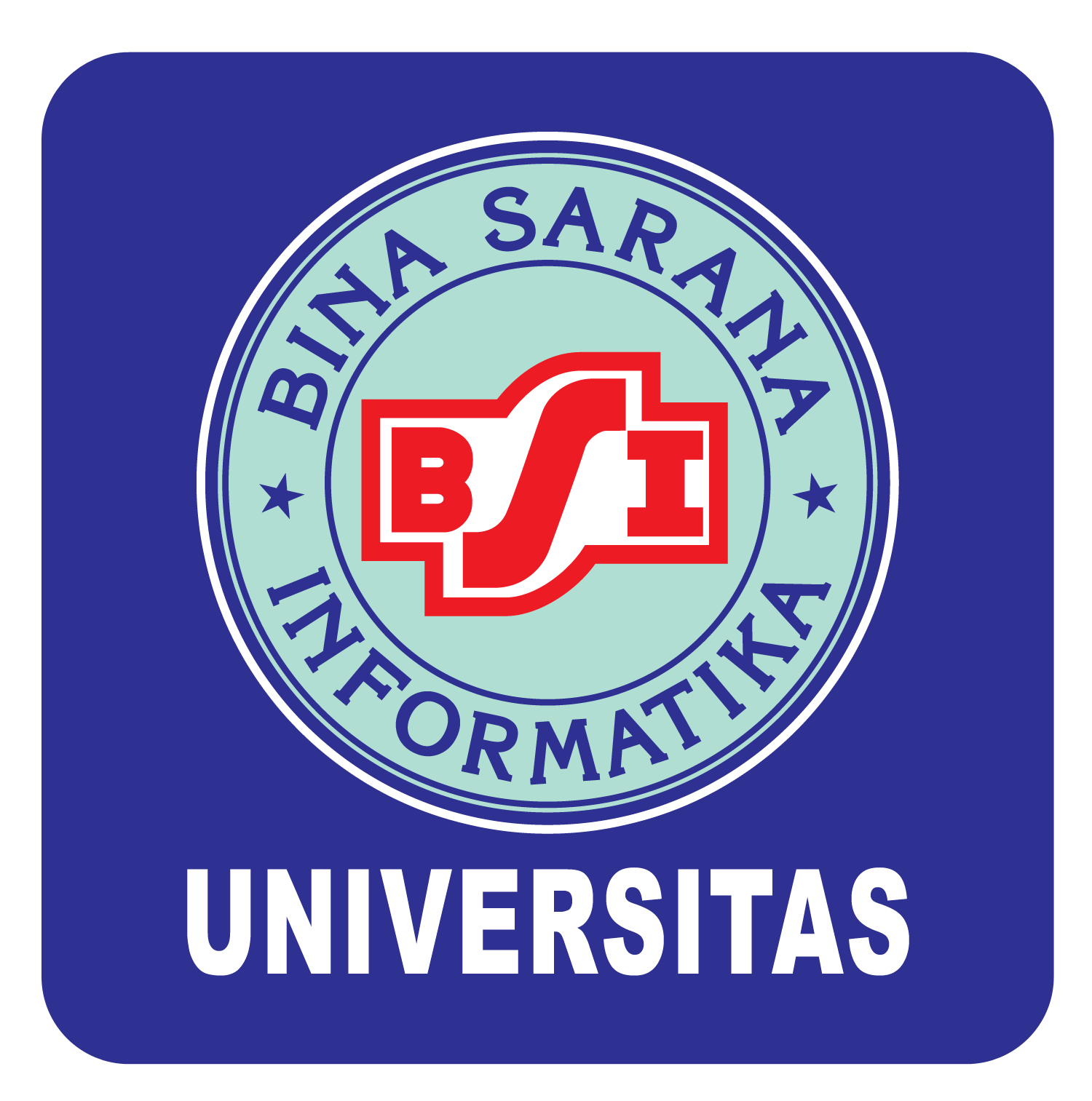 Bina Sarana Informatika University